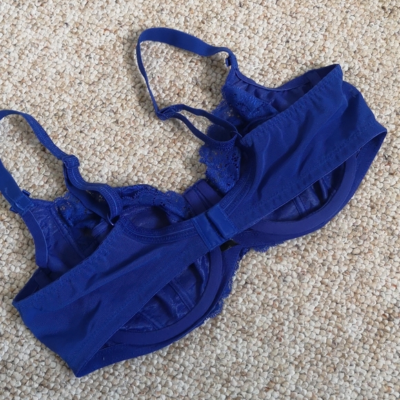 38D Panache Envy Bra - Picture 6 of 11
